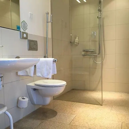 弗雷登兰迪伊尔酒店 酒店 4*