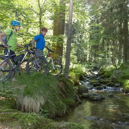 Hotel Landidyll Zum Freden